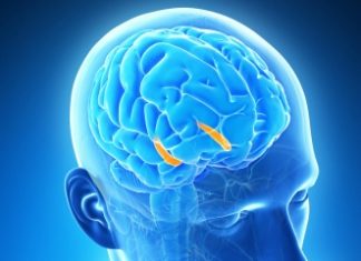 brain chip