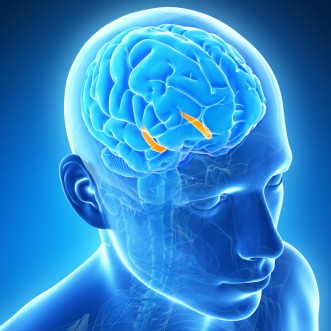 brain chip