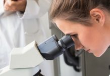 Pharmacist in Relation to his Job: An Overview